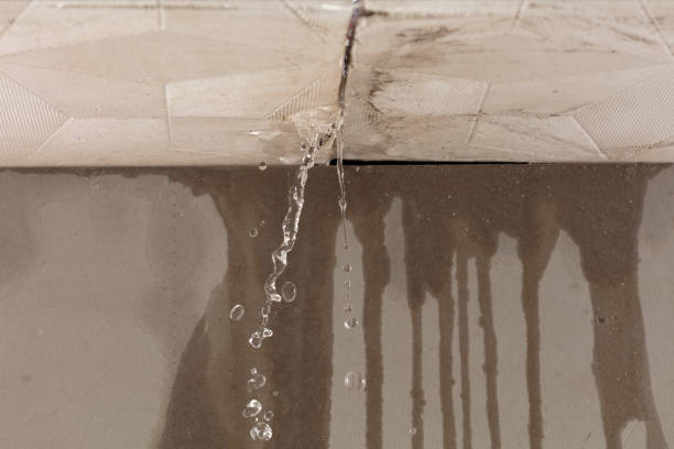 Professional Water Damage Repair technician working in Tecate, CA
